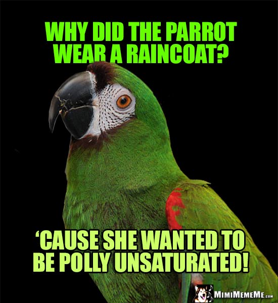 Green Parrot Asks: Why did the parrot wear a raincoat? 'Cause she wanted to be polly unsaturated!