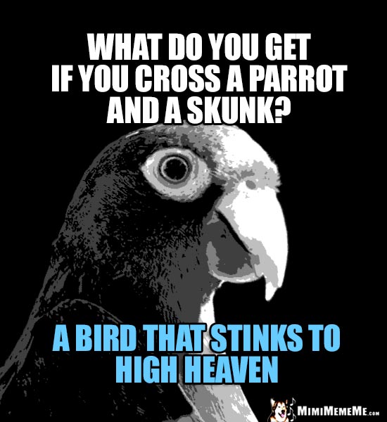 What do you get if you cross a parrot and a skunk? A bird that stinks to high heaven!