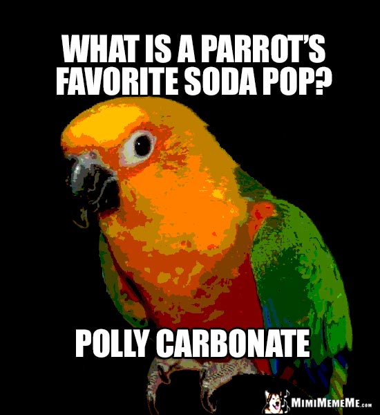 Little Parrot Asks: What is a parrot's favorite soda pop? Polly Carbonate