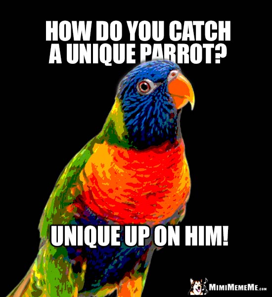 Funny Bird Pun: How do you catch a unique parrot? Unique up on him!
