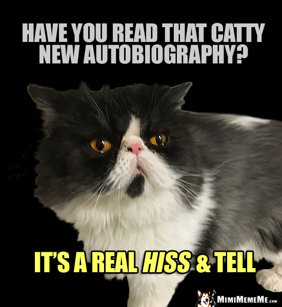 Cat Humor: Have you read that catty new autobiography? It's a real hiss & tell.