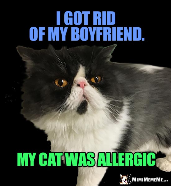 Smiling Cat Joke: I got rid of my boyfriend. My cat was allergic.