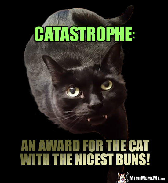 Fang Cat Says, Catastrophe: An award for the cat with the nicest buns!