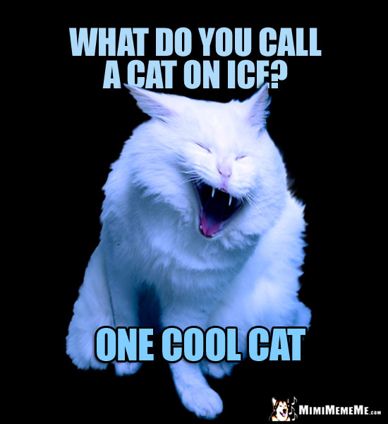 Laughing Cat Joke: What do you call a cat on ice? One cool cat