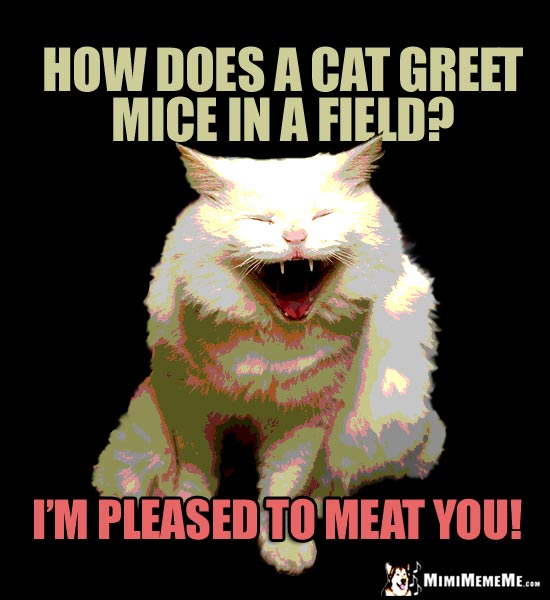 Laughing Cat Riddle: How does a cat greet mice in a field? I'm pleased to meat you!
