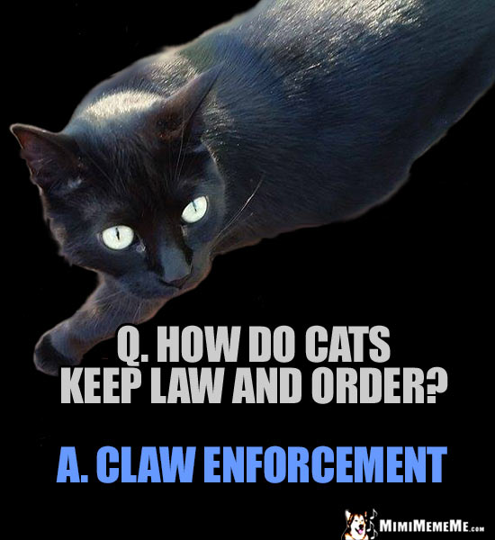Funny Cat Trivia: How do cats keep law and order? Claw Enforcement