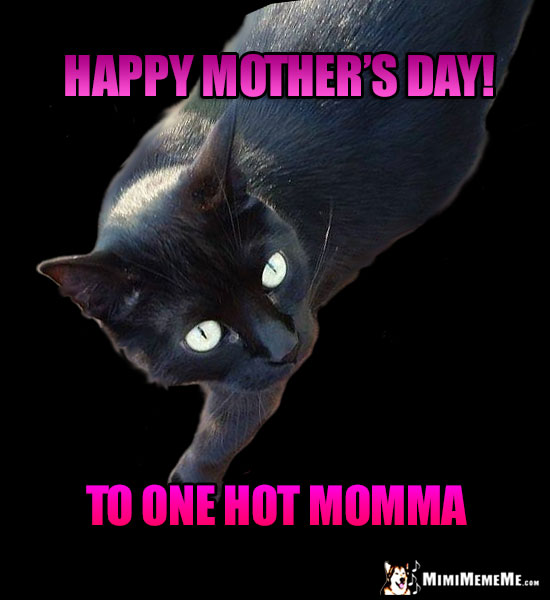 Black Cat Says: Happy Mother's Day! To One Hot Momma!