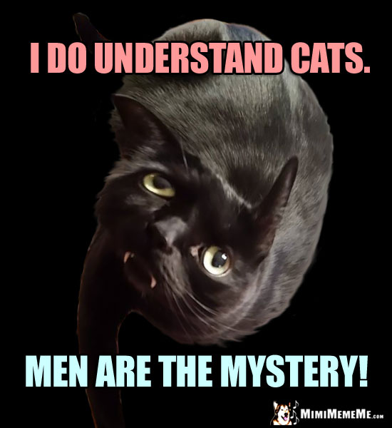 Cat Truths: I do understand cats. Men are the myster!