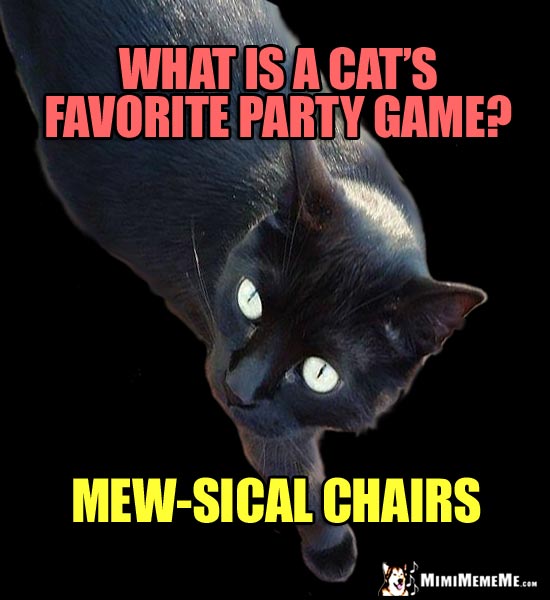 Cat Joke: What is a cat's favorite party game? Mew-sical chairs