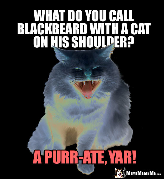 Pirate Cat Humor: What do you call Blackbeard with a cat on his shoulder? A Purr-ate, Yar!