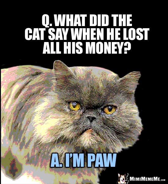 Cat Riddle: Q. What did the cat say when he lost all his money? A. I'm Paw