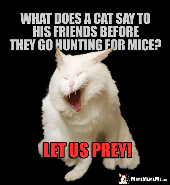 Laughing Cat Riddle: What does a cat say to his friends before they go hunting for mice? Let us prey!