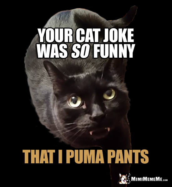 Black Fang Cat Laughs: Your cat joke was so funny that I puma pants