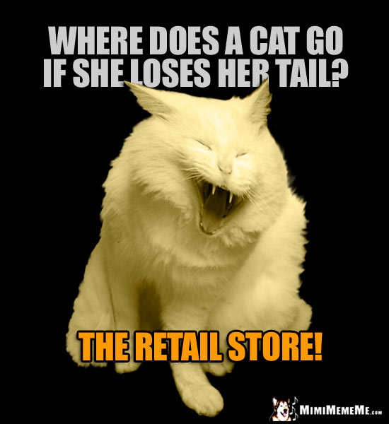Laughing Cat Asks: Where does a cat go if she loses her tail? The retail store!