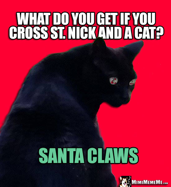 Christmas Cat Joke: What do you get if you cross St. Nick and a cat? Santa Claws