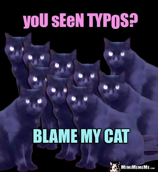 Cat Humor: yoU sEeN TYPoS? Blame My Cat