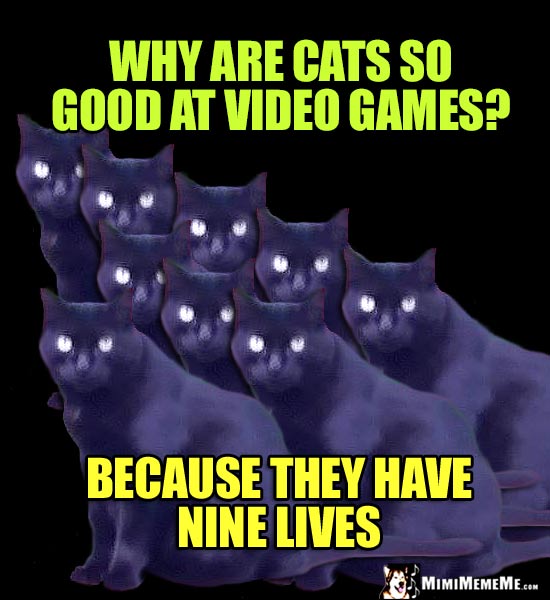 Cat Riddle: Why are cats so good at video games? Because they have nine lives