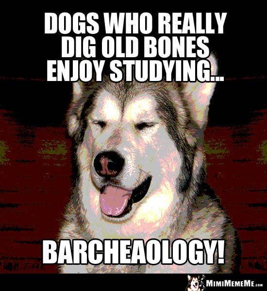 Dog Pun: Dogs who really dig old bones enjoy studying Barcheaology!