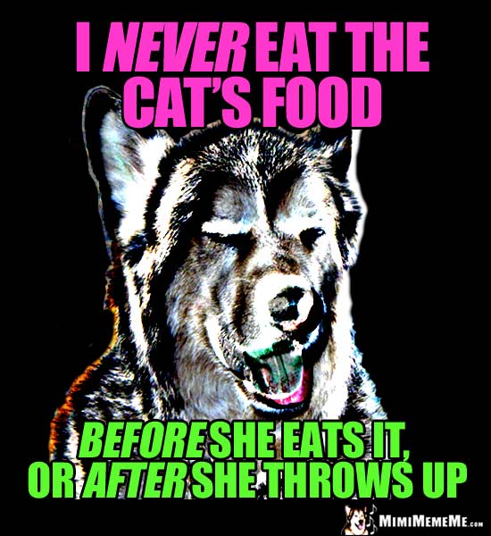Sick Dog Joke: I never eat the cat's food before she eats it, or after she throws up.