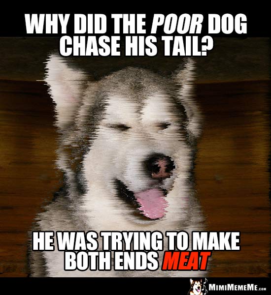 Dog Joke: Why did the poor dog chase his tail? He was trying to make both ends meat