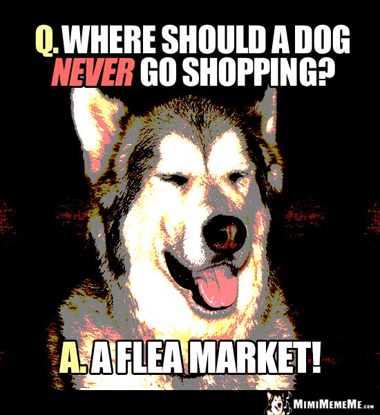 Dog Joke: Where should a dog never go shopping? A Flea Market!