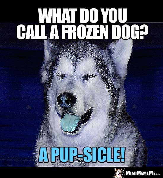 Dog Joke: what do you call a frozen dog? A Pup-Sicle!