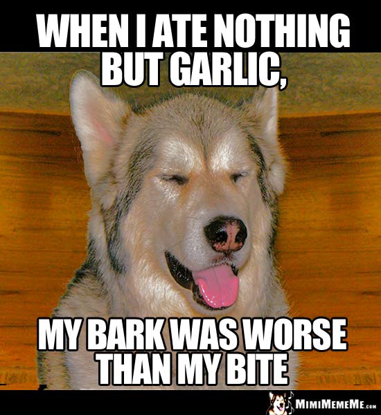Dog Humor: When I ate nothing but garlic, my bark was worse than my bite