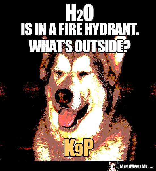 Dog Joke: H2O is in a fire hydrant. what's outside? K9P