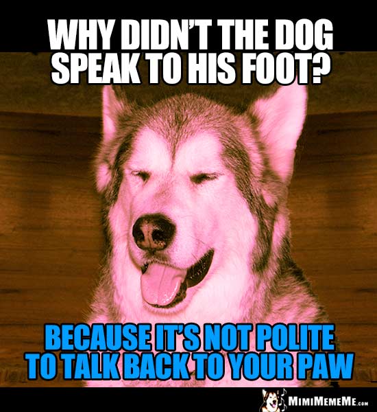 Dog Joke: Why didn't the dog speak to his foot? Because it's not poite to talk back to your paw