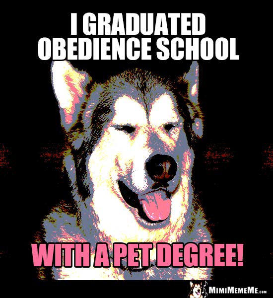 Dog Humor: I graduated obedience school with a pet degree!