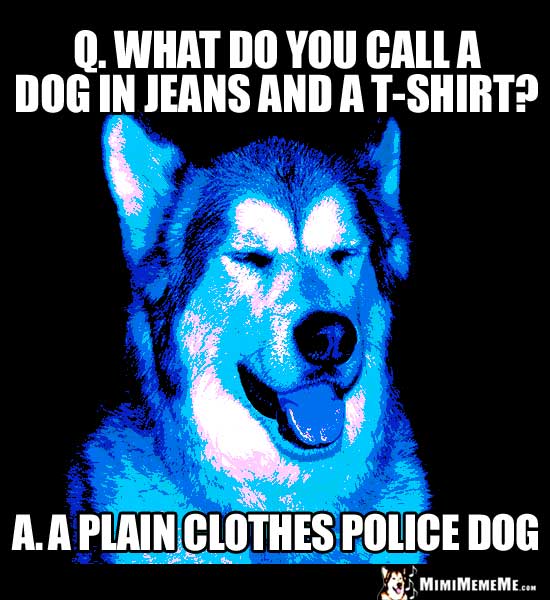 Dog Humor: What do you call a dog in jeans and a T-shirt? A plain clothes police dog