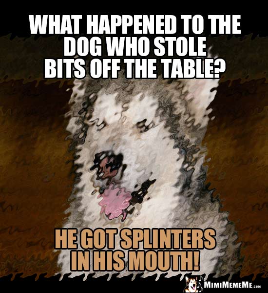 Dog Riddle: What happened to the dog who stole bits off the table? He got splinters in his mouth!