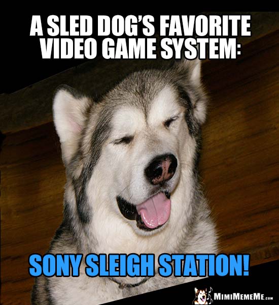 Dog Humor - A sled dog's favorite video game system: Sony Sleigh Station!