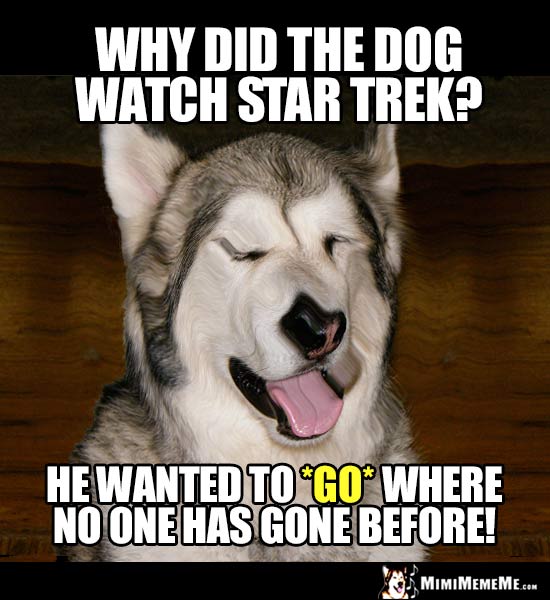 Sci-Fi Dog Joke: Why did the dog watch Star Trek? He wanted to GO where no one has bone before!