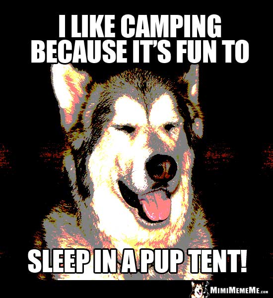 Dog Humor: I like camping because it's fun to sleep in a pup tent!
