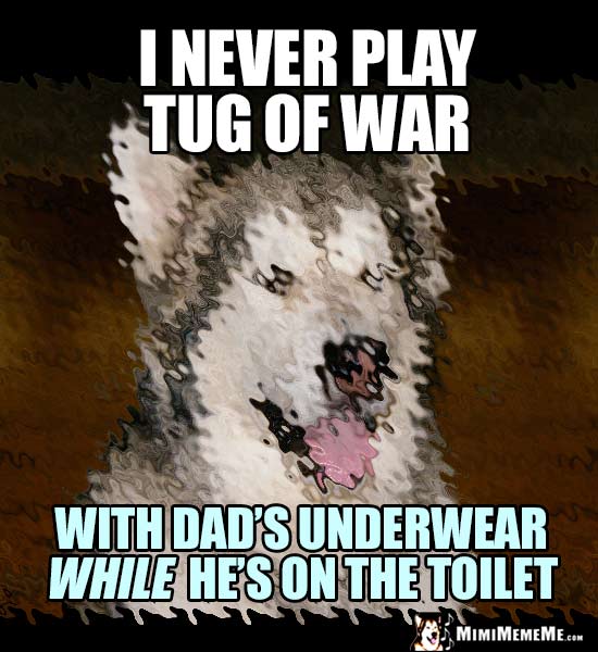 Dog Bathroom Joke: I never play tug of war with dad's underwear while he's on the toilet.