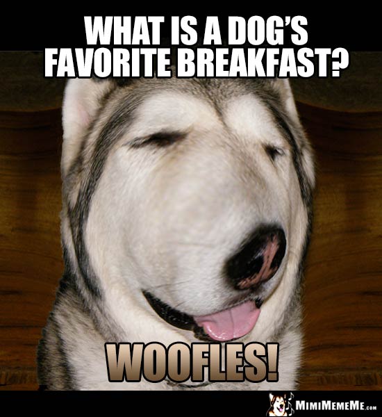 Funny Dog Riddle: What is a dog's favorite breakfast? Woofles!
