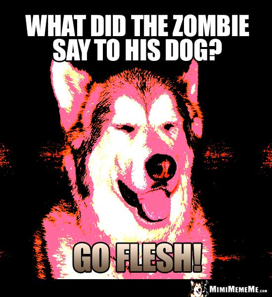 Halloween Dog Joke: What did the zombie say to his dog? Go Flesh!