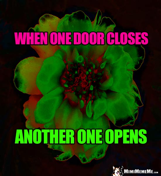 Inspirational Words: When one door closes, another one opens.
