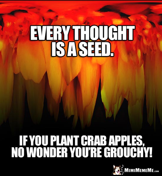 Humorous Motivational Words: Every thought is a seed. If you plant crab appes, no wonder you're grouchy!