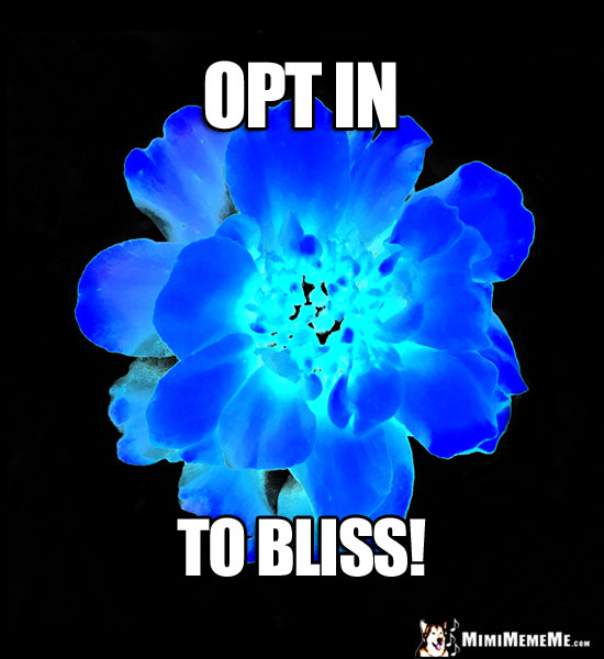 Xray Flower with Zen Words: Opt in to bliss!