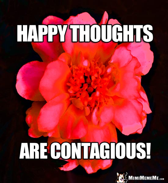 Vibrant Flower Saying: Happy Thoughts Are Contagious!