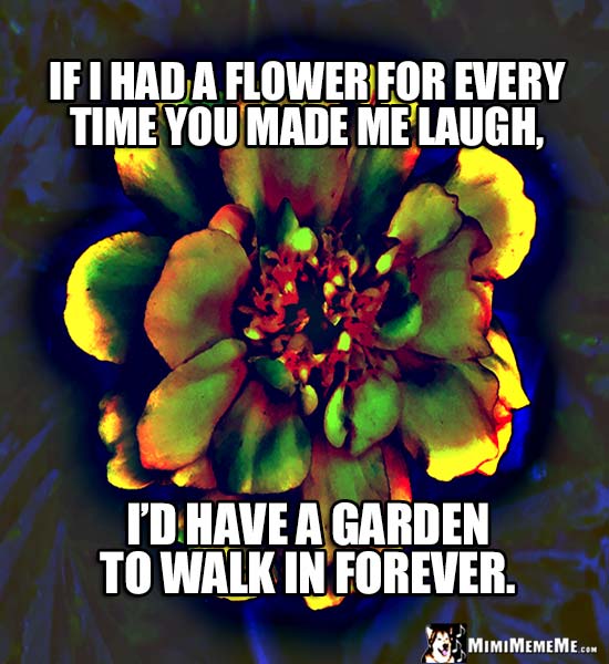 Flower Poster Saying: If I had a flower for every time you made me laugh, I'd have a garden to walk in forever.