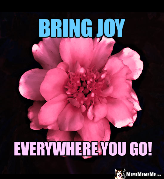 Pretty Pink Flower Saying: Bring Joy Everywhere You Go!