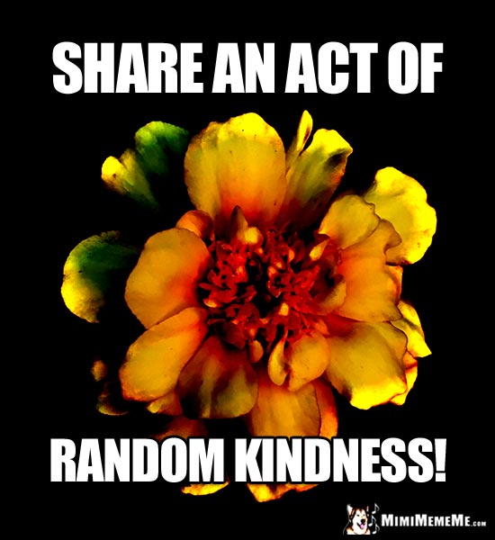 Striking Flower with Motivational Words: Share an act of random kindness!