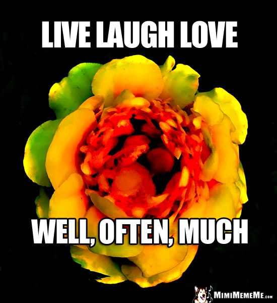 Inspirational Good Thoughts: Live Laugh Love. Well, Often, Much