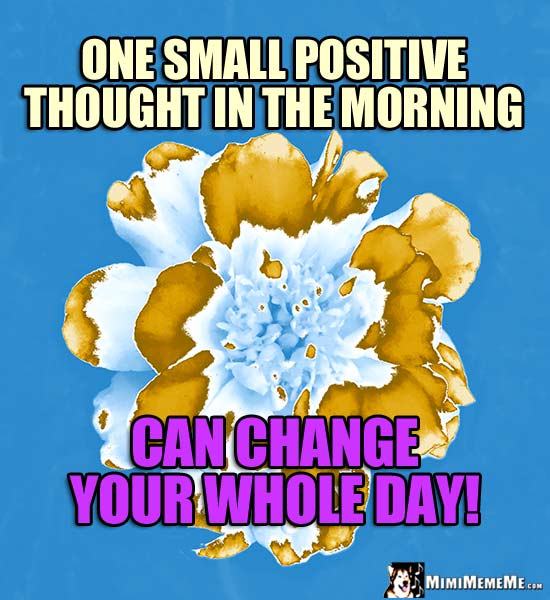 Inpirational Words: One small positive thought in the morning can change your whole day!
