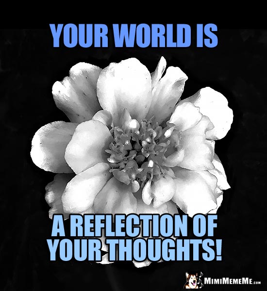 Motivational Meme: Your world is a reflection of your thoughts!