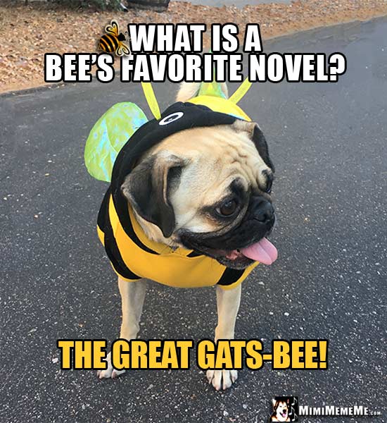 Bee in Bee Costume Asks: What is a bee's favorite novel? The Great Cats-Bee!