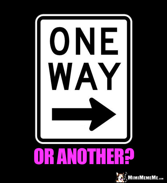 One Way Sign: One Way or Another?